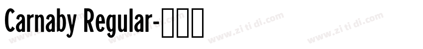 Carnaby Regular字体转换 Carnaby Regular字体转换